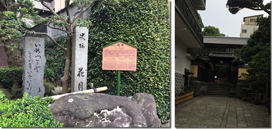 スタッフ便り