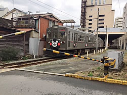 スタッフ便り