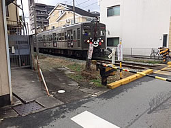 スタッフ便り
